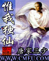 惟我独仙章节列表