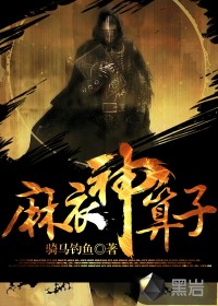麻衣神算子章节列表
