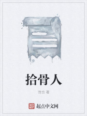 拾骨人章节列表