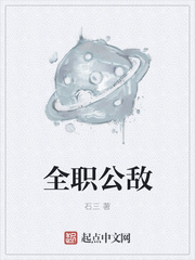 全职公敌章节列表